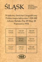 Arkusz Bielsko Pas 49 Słup 28 Polska mapa taktyczna 1:100000 ŚLĄSK