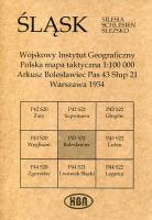 Arkusz Bolesławiec Pas 43 Słup 21 Polska mapa taktyczna 1:100000 ŚLĄSK