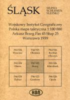 Arkusz Brzeg Pas 45 Słup 25 Polska mapa taktyczna 1:100000 ŚLĄSK