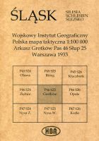 Arkusz Grotków Pas 46 Słup 25 Polska mapa taktyczna 1:100000 ŚLĄSK