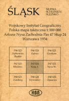 Arkusz Nysa Zachodnia Pas 47 Słup 24 Polska mapa taktyczna 1:100000 ŚLĄSK