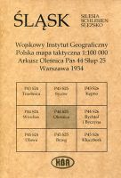 Arkusz Oleśnica Pas 44 Słup 25 Polska mapa taktyczna 1:100000 ŚLĄSK