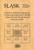 Arkusz Woźniki Pas 46 Słup 28 Polska mapa taktyczna 1:100000 ŚLĄSK