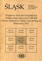 Arkusz Ząbkowice Śląskie Pas 46 Słup 23 Polska mapa taktyczna 1:100000 ŚLĄSK