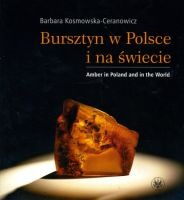 Bursztyn w Polsce i na świecie