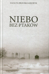 Niebo bez ptaków