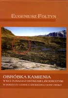 Obróbka kamienia w kulturach z ostrzami liściowatymi w dorzeczu górnej i środkowej Odry i Wisły