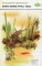 Dien Bien Phu 1954