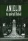 Anielin - tu poległ Hubal