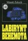 Labirynt Behemota