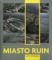 Miasto ruin (DVD Video)