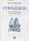 Cywilizacja