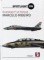 Grumman F-14 Tomcat (Spotlight on)