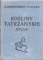 Rośliny tatrzańskie atlas