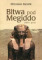 Bitwa pod Megiddo (1457 r. p.n.e.)