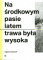 Na środkowym pasie latem trawa była wysoka