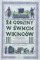 24 godziny w świecie wikingów
