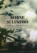 Borne Sulinowo. Historia i teraźniejszość
