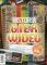 Historia gier wideo