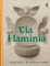Via Flaminia