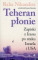 Teheran płonie