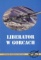 Liberator w Gorcach