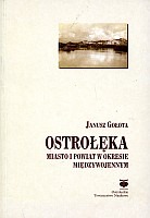 Ostrołęka. Miasto i powiat w okresie międzywojennym