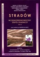 Stradów. Wczesnośredniowieczny zespół osadniczy tom 2