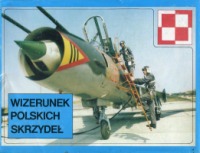 Wizerunek polskich skrzydeł