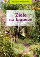 Ziele na kraterze